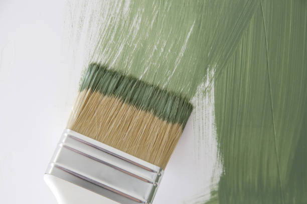 Best Water Damage & Mold Remediation  in Hart, TX
