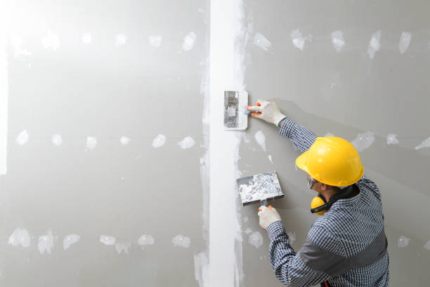 Mold Remediation for Rental Properties in Hart, TX