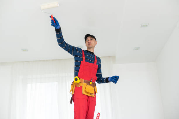  Hart, TX Mold Removal Pros
