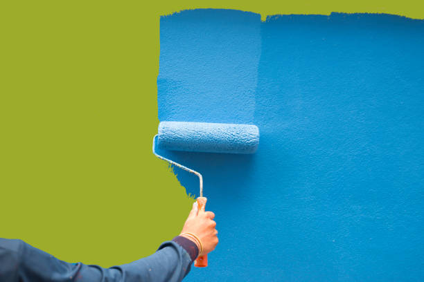 Hart, TX Mold Removal Company